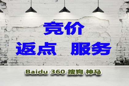 百度广告投放策略优化及成功案例解析